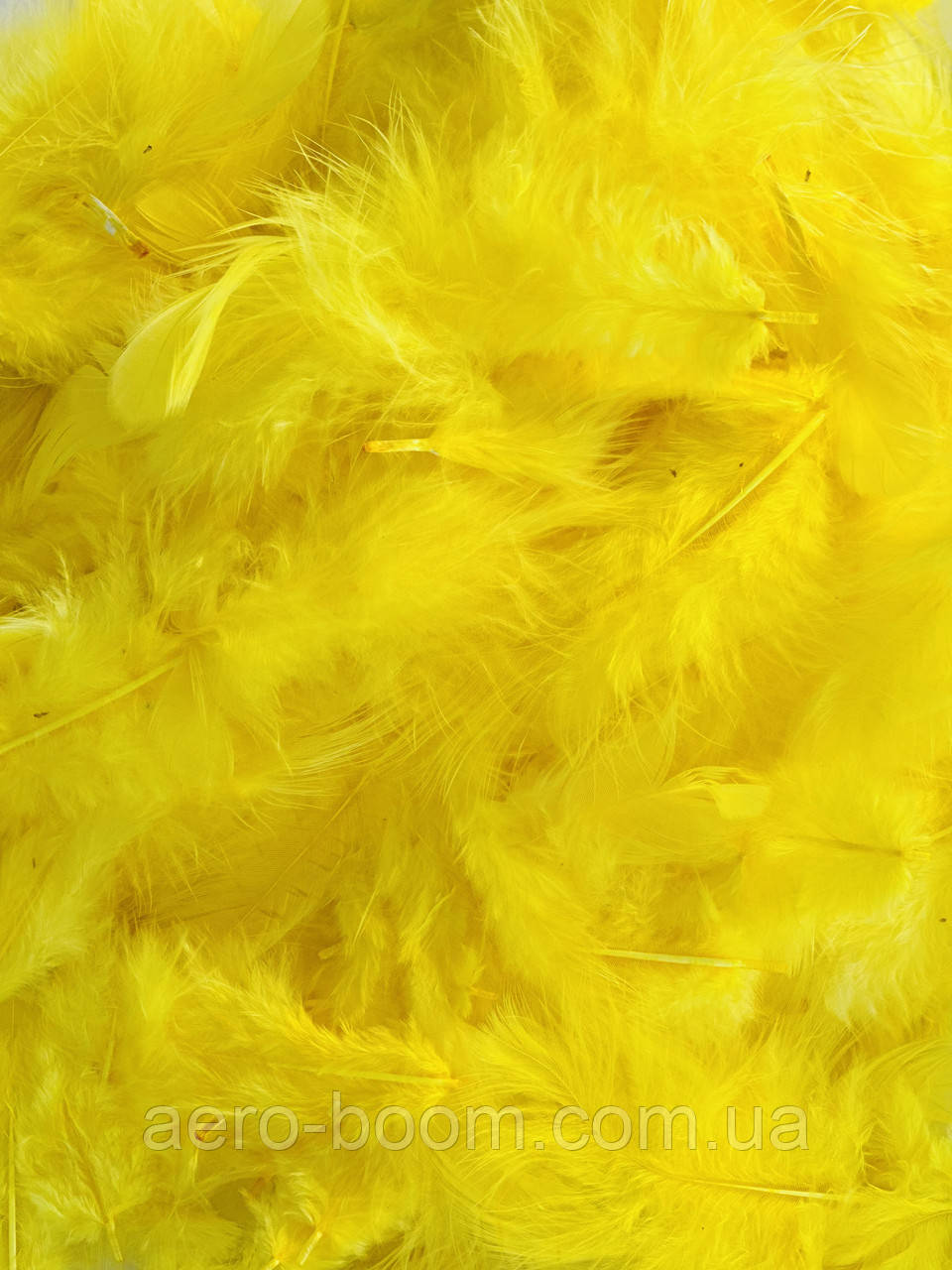 Пір'я жовте, фото 1