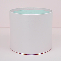 Шляпна коробка "Ніжно-рожева перламутрова" 16 см