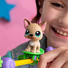 Ігровий набір Littlest Pet Shop – Шоу талантів 00558, фото 5