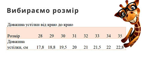 11200D Дитячі термоботки для хлопчика з липучками тм Bi&Ki, фото 4