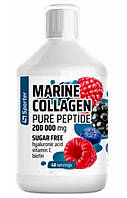 Морський колаген  SPORTER Marine Collagen 200000 (fish) (sugar free)  500 мл