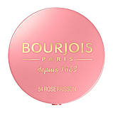 3 шт. Пресований рум'яна рожевого кольору Bourjois S0560712 54 Rose Frisson 2,5 г випечені Frosted, фото 3