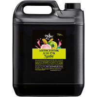 ТОП! Антисептик для рук Mayur Гуава 5 л (2200200111485) - (gHome)