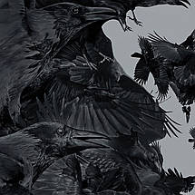 Плакат "Ворон, The Crow (2024)", 60×40см, фото 3
