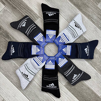 Шкарпетки чоловічі махрові бавовна Adidas, розмір 41-44, асорті, 09902