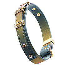 Нашийник LOCKINK Multi-color DIY Alphabet Collar, фото 3