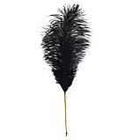 Лоскітка LOCKINK SEVANDA Natural Peacock Flirting Feather Tickler, перо павича, фото 4