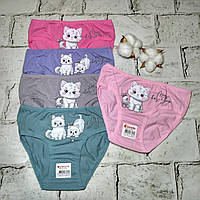 Дитячі трусики для дівчинки набір 5 шт бавовняні труси дівчинці Donella 98-104 см 2-3 роки Котики 4171PB33