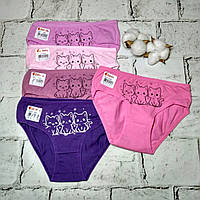 Дитячі трусики для дівчинки набір 5 шт бавовняні труси дівчинці Donella 98-104 см 2-3 роки Котики 4171PB43