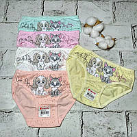 Дитячі трусики для дівчинки набір 5 шт бавовняні труси дівчинці Donella 86-92 см 0-1 рік 4112Y3