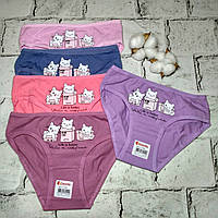 Дитячі трусики для дівчинки набір 5 шт бавовняні труси дівчинці Donella 110-116 см 4-5 років Котики 4171PB41