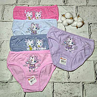 Дитячі трусики для дівчинки набір 5 шт бавовняні труси дівчинці Donella 110-116 см 4-5 років Котики 4181B11