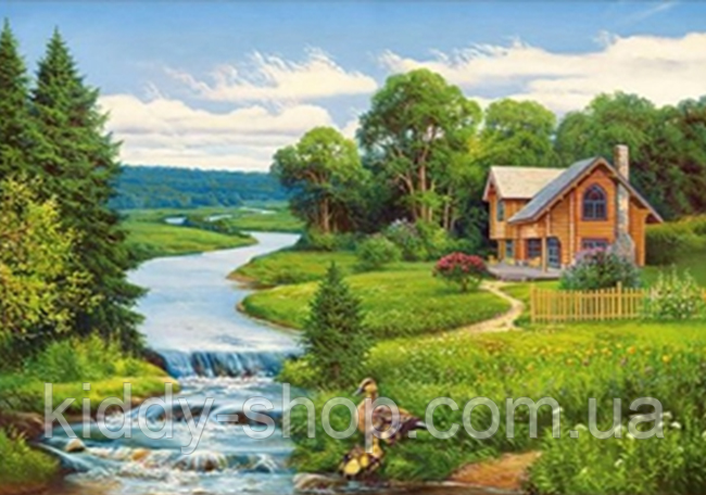 Алмазна вишивка. Картина на підрамнику "Літній день" , розмір 40х50, фото 1