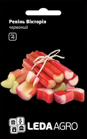 Насіння Ревінь Вікторія (червоний) 0,15 г —  LEDAAGRO