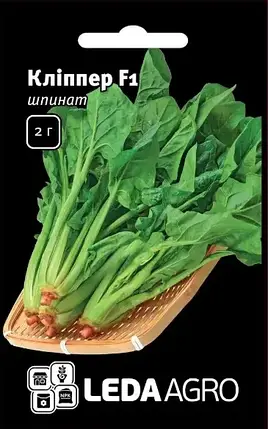 Насіння шпинату Кліппер F1 2г — середньоранній (40 днів) листя округлі LEDAAGRO, фото 1