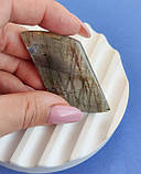 Лабрадор  камінь без оправи. Кабошон натуральний лабрадор 65*28*6 мм. Індія., фото 3