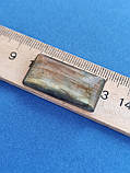 Лабрадор камінь без оправи. Кабошон натуральний лабрадор 30*15*6 мм. Індія., фото 6