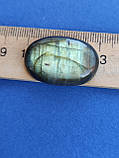 Лабрадор овал камінь без оправи. Кабошон натуральний лабрадор 30*20*8 мм. Індія., фото 4