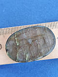 Лабрадор овал камінь без оправи. Кабошон натуральний лабрадор 30*20*8 мм. Індія., фото 5
