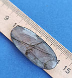 Лабрадор овал камінь без оправи. Кабошон натуральний лабрадор 42*18*6 мм. Індія., фото 6