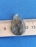 Лабрадор крапля камінь без оправи. Кабошон натуральний лабрадор 31*21*6 мм. Індія., фото 6