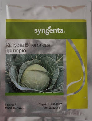 Насіння капусти Триперио F1 (Syngenta), 2500 насінин — середньо-пізній гібрид (70-75 днів), білоголова., фото 2