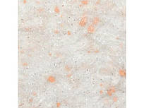 Гортензія 211