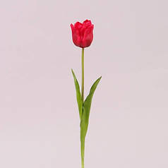 Квітка Тюльпан з латексу червона 72728