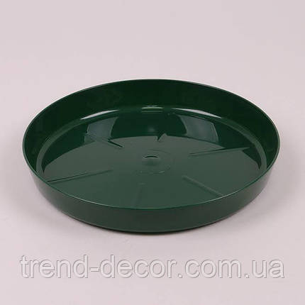 Підставка пластмасова до MAGNOLIA авокадо 14.7см., фото 1