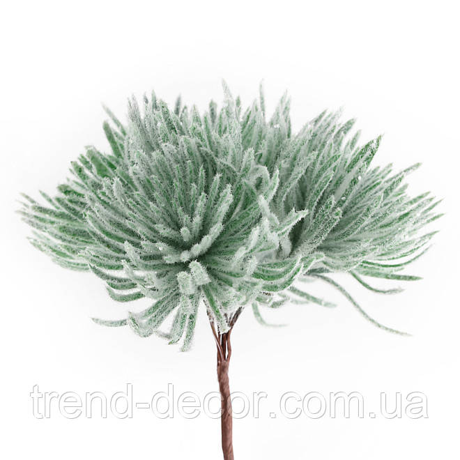 Гілочка Сосни в інше 14 см. 13662