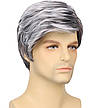 Перука чоловіча коротка пепельна, термоволокно DC Gray men01, фото 9