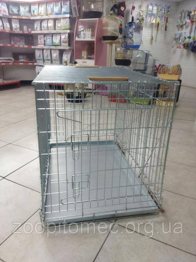 Клетка волк для собак, купить клетку для собак, клетка волк для кошек, клетка для крупных собак, клетка для кошек купить, клетка для собак цена, клетка для кошек цена, где купить клетку для собак, клетка для перевозки собак, клетка для животных волк, надежная клетка для кошек, клетка для щенков, мобильная клетка для кошек, клетка для собак волк отзывы, клетка для кошек волк отзывы, дешевая клетка для собак, клетка для кошек доставка, клетка для собак доставка, складная клетка для собак, складная клетка для кошек, удобная клетка для кошек, металлическая клетка для собак, клетка для транспортировки собак, переноска клетка для кошек, клетка волк для больших собак, клетка для кошек недорого, клетка для собак недорого, клетка для собак под заказ, клетка волк для мелких собак, прочная клетка для кошек, клетка для собак с доставкой, клетка для кошек под заказ, клетка для собак на колесах, купить клетку волк для кошек, купить клетку волк для собак, большая клетка для собак, средняя клетка для кошек, прочная клетка для собак, легкая клетка для кошек, легкая клетка для собак, клетка для кошек по акции, акция на клетку для собак, вольер клетка для кошек, вольер клетка для собак, клетка для перевозки кошек, клетка для щенков недорого, клетка волк для животных, клетка для собак с доставкой на дом, клетка для кошек с доставкой на дом, клетка волк для питомцев, клетка для собак заказать онлайн, клетка для кошек заказать онлайн, как выбрать клетку для собак, как выбрать клетку для кошек, клетка для домашних животных, клетка волк для щенков, клетка волк для котят, купить металлическую клетку для собак, купить металлическую клетку для кошек, сколько стоит клетка для собак, сколько стоит клетка для кошек, вольер клетка для щенков, клетка для мелких собак, клетка волк для щенков купить, клетка для кошек заказать, клетка для собак заказать, надежная клетка для собак, складная клетка для перевозки собак, складная клетка для перевозки кошек, купить большую клетку для собак, купить переноску клетку для кошек, переносная клетка для собак, складная клетка для животных, мобильная клетка для собак, клетка для животных купить онлайн, клетка для щенков волк, сколько стоит клетка волк, клетка волк для маленьких собак, купить клетку волк для кошек, клетка волк для собак онлайн, клетка волк для кошек онлайн, купить клетку для крупных собак, купить клетку для кошек с доставкой, купить клетку волк для животных, лучшая клетка для собак, лучшая клетка для кошек, как выбрать клетку для собак волк, клетка волк для питомца, клетка волк для домашних животных, надежная клетка волк для собак, какую клетку выбрать для собак, какую клетку выбрать для кошек, лучшая цена на клетку для собак, лучшая цена на клетку для кошек, интернет магазин клеток для животных, интернет магазин клеток для собак, интернет магазин клеток для кошек, где заказать клетку для собак, где заказать клетку для кошек, недорогая клетка для собак онлайн. Клетка волк для собак, купить клетку для собак, клетка волк для кошек, клетка для крупных собак, клетка для кошек купить, клетка для собак цена, клетка для кошек цена, где купить клетку для собак, клетка для перевозки собак, клетка для животных волк, надежная клетка для кошек, клетка для щенков, мобильная клетка для кошек, клетка для собак волк отзывы, клетка для кошек волк отзывы, дешевая клетка для собак, клетка для кошек доставка, клетка для собак доставка, складная клетка для собак, складная клетка для кошек, удобная клетка для кошек, металлическая клетка для собак, клетка для транспортировки собак, переноска клетка для кошек, клетка волк для больших собак, клетка для кошек недорого, клетка для собак недорого, клетка для собак под заказ, клетка волк для мелких собак, прочная клетка для кошек, клетка для собак с доставкой, клетка для кошек под заказ, клетка для собак на колесах, купить клетку волк для кошек, купить клетку волк для собак, большая клетка для собак, средняя клетка для кошек, прочная клетка для собак, легкая клетка для кошек, легкая клетка для собак, клетка для кошек по акции, акция на клетку для собак, вольер клетка для кошек, вольер клетка для собак, клетка для перевозки кошек, клетка для щенков недорого, клетка волк для животных, клетка для собак с доставкой на дом, клетка для кошек с доставкой на дом, клетка волк для питомцев, клетка для собак заказать онлайн, клетка для кошек заказать онлайн, как выбрать клетку для собак, как выбрать клетку для кошек, клетка для домашних животных, клетка волк для щенков, клетка волк для котят, купить металлическую клетку для собак, купить металлическую клетку для кошек, сколько стоит клетка для собак, сколько стоит клетка для кошек, вольер клетка для щенков, клетка для мелких собак, клетка волк для щенков купить, клетка для кошек заказать, клетка для собак заказать, надежная клетка для собак, складная клетка для перевозки собак, складная клетка для перевозки кошек, купить большую клетку для собак, купить переноску клетку для кошек, переносная клетка для собак, складная клетка для животных, мобильная клетка для собак, клетка для животных купить онлайн, клетка для щенков волк, сколько стоит клетка волк, клетка волк для маленьких собак, купить клетку волк для кошек, клетка волк для собак онлайн, клетка волк для кошек онлайн, купить клетку для крупных собак, купить клетку для кошек с доставкой, купить клетку волк для животных, лучшая клетка для собак, лучшая клетка для кошек, как выбрать клетку для собак волк, клетка волк для питомца, клетка волк для домашних животных, надежная клетка волк для собак, какую клетку выбрать для собак, какую клетку выбрать для кошек, лучшая цена на клетку для собак, лучшая цена на клетку для кошек, интернет магазин клеток для животных, интернет магазин клеток для собак, интернет магазин клеток для кошек, где заказать клетку для собак, где заказать клетку для кошек, недорогая клетка для собак онлайн.