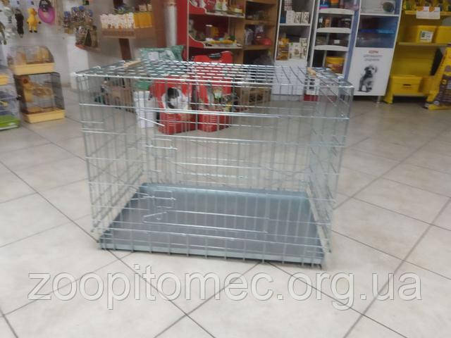 Клетка волк для собак, купить клетку для собак, клетка волк для кошек, клетка для крупных собак, клетка для кошек купить, клетка для собак цена, клетка для кошек цена, где купить клетку для собак, клетка для перевозки собак, клетка для животных волк, надежная клетка для кошек, клетка для щенков, мобильная клетка для кошек, клетка для собак волк отзывы, клетка для кошек волк отзывы, дешевая клетка для собак, клетка для кошек доставка, клетка для собак доставка, складная клетка для собак, складная клетка для кошек, удобная клетка для кошек, металлическая клетка для собак, клетка для транспортировки собак, переноска клетка для кошек, клетка волк для больших собак, клетка для кошек недорого, клетка для собак недорого, клетка для собак под заказ, клетка волк для мелких собак, прочная клетка для кошек, клетка для собак с доставкой, клетка для кошек под заказ, клетка для собак на колесах, купить клетку волк для кошек, купить клетку волк для собак, большая клетка для собак, средняя клетка для кошек, прочная клетка для собак, легкая клетка для кошек, легкая клетка для собак, клетка для кошек по акции, акция на клетку для собак, вольер клетка для кошек, вольер клетка для собак, клетка для перевозки кошек, клетка для щенков недорого, клетка волк для животных, клетка для собак с доставкой на дом, клетка для кошек с доставкой на дом, клетка волк для питомцев, клетка для собак заказать онлайн, клетка для кошек заказать онлайн, как выбрать клетку для собак, как выбрать клетку для кошек, клетка для домашних животных, клетка волк для щенков, клетка волк для котят, купить металлическую клетку для собак, купить металлическую клетку для кошек, сколько стоит клетка для собак, сколько стоит клетка для кошек, вольер клетка для щенков, клетка для мелких собак, клетка волк для щенков купить, клетка для кошек заказать, клетка для собак заказать, надежная клетка для собак, складная клетка для перевозки собак, складная клетка для перевозки кошек, купить большую клетку для собак, купить переноску клетку для кошек, переносная клетка для собак, складная клетка для животных, мобильная клетка для собак, клетка для животных купить онлайн, клетка для щенков волк, сколько стоит клетка волк, клетка волк для маленьких собак, купить клетку волк для кошек, клетка волк для собак онлайн, клетка волк для кошек онлайн, купить клетку для крупных собак, купить клетку для кошек с доставкой, купить клетку волк для животных, лучшая клетка для собак, лучшая клетка для кошек, как выбрать клетку для собак волк, клетка волк для питомца, клетка волк для домашних животных, надежная клетка волк для собак, какую клетку выбрать для собак, какую клетку выбрать для кошек, лучшая цена на клетку для собак, лучшая цена на клетку для кошек, интернет магазин клеток для животных, интернет магазин клеток для собак, интернет магазин клеток для кошек, где заказать клетку для собак, где заказать клетку для кошек, недорогая клетка для собак онлайн. Клетка волк для собак, купить клетку для собак, клетка волк для кошек, клетка для крупных собак, клетка для кошек купить, клетка для собак цена, клетка для кошек цена, где купить клетку для собак, клетка для перевозки собак, клетка для животных волк, надежная клетка для кошек, клетка для щенков, мобильная клетка для кошек, клетка для собак волк отзывы, клетка для кошек волк отзывы, дешевая клетка для собак, клетка для кошек доставка, клетка для собак доставка, складная клетка для собак, складная клетка для кошек, удобная клетка для кошек, металлическая клетка для собак, клетка для транспортировки собак, переноска клетка для кошек, клетка волк для больших собак, клетка для кошек недорого, клетка для собак недорого, клетка для собак под заказ, клетка волк для мелких собак, прочная клетка для кошек, клетка для собак с доставкой, клетка для кошек под заказ, клетка для собак на колесах, купить клетку волк для кошек, купить клетку волк для собак, большая клетка для собак, средняя клетка для кошек, прочная клетка для собак, легкая клетка для кошек, легкая клетка для собак, клетка для кошек по акции, акция на клетку для собак, вольер клетка для кошек, вольер клетка для собак, клетка для перевозки кошек, клетка для щенков недорого, клетка волк для животных, клетка для собак с доставкой на дом, клетка для кошек с доставкой на дом, клетка волк для питомцев, клетка для собак заказать онлайн, клетка для кошек заказать онлайн, как выбрать клетку для собак, как выбрать клетку для кошек, клетка для домашних животных, клетка волк для щенков, клетка волк для котят, купить металлическую клетку для собак, купить металлическую клетку для кошек, сколько стоит клетка для собак, сколько стоит клетка для кошек, вольер клетка для щенков, клетка для мелких собак, клетка волк для щенков купить, клетка для кошек заказать, клетка для собак заказать, надежная клетка для собак, складная клетка для перевозки собак, складная клетка для перевозки кошек, купить большую клетку для собак, купить переноску клетку для кошек, переносная клетка для собак, складная клетка для животных, мобильная клетка для собак, клетка для животных купить онлайн, клетка для щенков волк, сколько стоит клетка волк, клетка волк для маленьких собак, купить клетку волк для кошек, клетка волк для собак онлайн, клетка волк для кошек онлайн, купить клетку для крупных собак, купить клетку для кошек с доставкой, купить клетку волк для животных, лучшая клетка для собак, лучшая клетка для кошек, как выбрать клетку для собак волк, клетка волк для питомца, клетка волк для домашних животных, надежная клетка волк для собак, какую клетку выбрать для собак, какую клетку выбрать для кошек, лучшая цена на клетку для собак, лучшая цена на клетку для кошек, интернет магазин клеток для животных, интернет магазин клеток для собак, интернет магазин клеток для кошек, где заказать клетку для собак, где заказать клетку для кошек, недорогая клетка для собак онлайн.