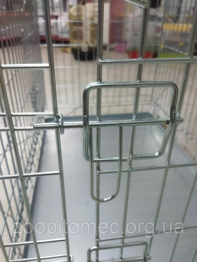 Клітка вовк для собак, купити клітку для собак, клітка вовк для котів, клітка для великих собак, клітка для котів купити, клітка для собак ціна, клітка для котів ціна, де купити клітку для собак, клітка для перевезення собак, клітка для тварин вовк, надійна клітка для котів, клітка для цуценят, мобільна клітка для котів, клітка для собак вовк відгуки, клітка для котів вовк відгуки, дешева клітка для собак, клітка для котів доставка, клітка для собак доставка, складна клітка для собак, складна клітка для котів, зручна клітка для котів, металева клітка для собак, клітка для транспортування собак, переноска клітка для котів, клітка вовк для великих собак, клітка для котів недорого, клітка для собак недорого, клітка для собак на замовлення, клітка вовк для малих собак, міцна клітка для котів, клітка для собак з доставкою, клітка для котів на замовлення, клітка для собак на колесах, купити клітку вовк для котів, купити клітку вовк для собак, велика клітка для собак, середня клітка для котів, міцна клітка для собак, легка клітка для котів, легка клітка для собак, клітка для котів по акції, акція на клітку для собак, вольєр клітка для котів, вольєр клітка для собак, клітка для перевезення котів, клітка для цуценят недорого, клітка вовк для тварин, клітка для собак з доставкою додому, клітка для котів з доставкою додому, клітка вовк для домашніх улюбленців, клітка для собак замовити онлайн, клітка для котів замовити онлайн, як вибрати клітку для собак, як вибрати клітку для котів, клітка для домашніх тварин, клітка вовк для цуценят, клітка вовк для кошенят, купити металеву клітку для собак, купити металеву клітку для котів, скільки коштує клітка для собак, скільки коштує клітка для котів, вольєр клітка для цуценят, клітка для малих собак, клітка вовк для цуценят купити, клітка для котів замовити, клітка для собак замовити, надійна клітка для собак, складна клітка для перевезення собак, складна клітка для перевезення котів, купити велику клітку для собак, купити переноску клітку для котів, переносна клітка для собак, складна клітка для тварин, мобільна клітка для собак, клітка для тварин купити онлайн, клітка для цуценят вовк, скільки коштує клітка вовк, клітка вовк для малих собак, купити клітку вовк для котів, клітка вовк для собак онлайн, клітка вовк для котів онлайн, купити клітку для великих собак, купити клітку для котів з доставкою, купити клітку вовк для тварин, найкраща клітка для собак, найкраща клітка для котів, як вибрати клітку для собак вовк, клітка вовк для домашнього улюбленця, клітка вовк для домашніх тварин, надійна клітка вовк для собак, яку клітку вибрати для собак, яку клітку вибрати для котів, найкраща ціна на клітку для собак, найкраща ціна на клітку для котів, інтернет магазин кліток для тварин, інтернет магазин кліток для собак, інтернет магазин кліток для котів, де замовити клітку для собак, де замовити клітку для котів, недорога клітка для собак онлайн. Клітка вовк для собак, купити клітку для собак, клітка вовк для котів, клітка для великих собак, клітка для котів купити, клітка для собак ціна, клітка для котів ціна, де купити клітку для собак, клітка для перевезення собак, клітка для тварин вовк, надійна клітка для котів, клітка для цуценят, мобільна клітка для котів, клітка для собак вовк відгуки, клітка для котів вовк відгуки, дешева клітка для собак, клітка для котів доставка, клітка для собак доставка, складна клітка для собак, складна клітка для котів, зручна клітка для котів, металева клітка для собак, клітка для транспортування собак, переноска клітка для котів, клітка вовк для великих собак, клітка для котів недорого, клітка для собак недорого, клітка для собак на замовлення, клітка вовк для малих собак, міцна клітка для котів, клітка для собак з доставкою, клітка для котів на замовлення, клітка для собак на колесах, купити клітку вовк для котів, купити клітку вовк для собак, велика клітка для собак, середня клітка для котів, міцна клітка для собак, легка клітка для котів, легка клітка для собак, клітка для котів по акції, акція на клітку для собак, вольєр клітка для котів, вольєр клітка для собак, клітка для перевезення котів, клітка для цуценят недорого, клітка вовк для тварин, клітка для собак з доставкою додому, клітка для котів з доставкою додому, клітка вовк для домашніх улюбленців, клітка для собак замовити онлайн, клітка для котів замовити онлайн, як вибрати клітку для собак, як вибрати клітку для котів, клітка для домашніх тварин, клітка вовк для цуценят, клітка вовк для кошенят, купити металеву клітку для собак, купити металеву клітку для котів, скільки коштує клітка для собак, скільки коштує клітка для котів, вольєр клітка для цуценят, клітка для малих собак, клітка вовк для цуценят купити, клітка для котів замовити, клітка для собак замовити, надійна клітка для собак, складна клітка для перевезення собак, складна клітка для перевезення котів, купити велику клітку для собак, купити переноску клітку для котів, переносна клітка для собак, складна клітка для тварин, мобільна клітка для собак, клітка для тварин купити онлайн, клітка для цуценят вовк, скільки коштує клітка вовк, клітка вовк для малих собак, купити клітку вовк для котів, клітка вовк для собак онлайн, клітка вовк для котів онлайн, купити клітку для великих собак, купити клітку для котів з доставкою, купити клітку вовк для тварин, найкраща клітка для собак, найкраща клітка для котів, як вибрати клітку для собак вовк, клітка вовк для домашнього улюбленця, клітка вовк для домашніх тварин, надійна клітка вовк для собак, яку клітку вибрати для собак, яку клітку вибрати для котів, найкраща ціна на клітку для собак, найкраща ціна на клітку для котів, інтернет магазин кліток для тварин, інтернет магазин кліток для собак, інтернет магазин кліток для котів, де замовити клітку для собак, де замовити клітку для котів, недорога клітка для собак онлайн.