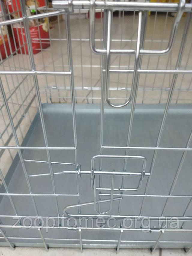 Клітка вовк для собак, купити клітку для собак, клітка вовк для котів, клітка для великих собак, клітка для котів купити, клітка для собак ціна, клітка для котів ціна, де купити клітку для собак, клітка для перевезення собак, клітка для тварин вовк, надійна клітка для котів, клітка для цуценят, мобільна клітка для котів, клітка для собак вовк відгуки, клітка для котів вовк відгуки, дешева клітка для собак, клітка для котів доставка, клітка для собак доставка, складна клітка для собак, складна клітка для котів, зручна клітка для котів, металева клітка для собак, клітка для транспортування собак, переноска клітка для котів, клітка вовк для великих собак, клітка для котів недорого, клітка для собак недорого, клітка для собак на замовлення, клітка вовк для малих собак, міцна клітка для котів, клітка для собак з доставкою, клітка для котів на замовлення, клітка для собак на колесах, купити клітку вовк для котів, купити клітку вовк для собак, велика клітка для собак, середня клітка для котів, міцна клітка для собак, легка клітка для котів, легка клітка для собак, клітка для котів по акції, акція на клітку для собак, вольєр клітка для котів, вольєр клітка для собак, клітка для перевезення котів, клітка для цуценят недорого, клітка вовк для тварин, клітка для собак з доставкою додому, клітка для котів з доставкою додому, клітка вовк для домашніх улюбленців, клітка для собак замовити онлайн, клітка для котів замовити онлайн, як вибрати клітку для собак, як вибрати клітку для котів, клітка для домашніх тварин, клітка вовк для цуценят, клітка вовк для кошенят, купити металеву клітку для собак, купити металеву клітку для котів, скільки коштує клітка для собак, скільки коштує клітка для котів, вольєр клітка для цуценят, клітка для малих собак, клітка вовк для цуценят купити, клітка для котів замовити, клітка для собак замовити, надійна клітка для собак, складна клітка для перевезення собак, складна клітка для перевезення котів, купити велику клітку для собак, купити переноску клітку для котів, переносна клітка для собак, складна клітка для тварин, мобільна клітка для собак, клітка для тварин купити онлайн, клітка для цуценят вовк, скільки коштує клітка вовк, клітка вовк для малих собак, купити клітку вовк для котів, клітка вовк для собак онлайн, клітка вовк для котів онлайн, купити клітку для великих собак, купити клітку для котів з доставкою, купити клітку вовк для тварин, найкраща клітка для собак, найкраща клітка для котів, як вибрати клітку для собак вовк, клітка вовк для домашнього улюбленця, клітка вовк для домашніх тварин, надійна клітка вовк для собак, яку клітку вибрати для собак, яку клітку вибрати для котів, найкраща ціна на клітку для собак, найкраща ціна на клітку для котів, інтернет магазин кліток для тварин, інтернет магазин кліток для собак, інтернет магазин кліток для котів, де замовити клітку для собак, де замовити клітку для котів, недорога клітка для собак онлайн. Клітка вовк для собак, купити клітку для собак, клітка вовк для котів, клітка для великих собак, клітка для котів купити, клітка для собак ціна, клітка для котів ціна, де купити клітку для собак, клітка для перевезення собак, клітка для тварин вовк, надійна клітка для котів, клітка для цуценят, мобільна клітка для котів, клітка для собак вовк відгуки, клітка для котів вовк відгуки, дешева клітка для собак, клітка для котів доставка, клітка для собак доставка, складна клітка для собак, складна клітка для котів, зручна клітка для котів, металева клітка для собак, клітка для транспортування собак, переноска клітка для котів, клітка вовк для великих собак, клітка для котів недорого, клітка для собак недорого, клітка для собак на замовлення, клітка вовк для малих собак, міцна клітка для котів, клітка для собак з доставкою, клітка для котів на замовлення, клітка для собак на колесах, купити клітку вовк для котів, купити клітку вовк для собак, велика клітка для собак, середня клітка для котів, міцна клітка для собак, легка клітка для котів, легка клітка для собак, клітка для котів по акції, акція на клітку для собак, вольєр клітка для котів, вольєр клітка для собак, клітка для перевезення котів, клітка для цуценят недорого, клітка вовк для тварин, клітка для собак з доставкою додому, клітка для котів з доставкою додому, клітка вовк для домашніх улюбленців, клітка для собак замовити онлайн, клітка для котів замовити онлайн, як вибрати клітку для собак, як вибрати клітку для котів, клітка для домашніх тварин, клітка вовк для цуценят, клітка вовк для кошенят, купити металеву клітку для собак, купити металеву клітку для котів, скільки коштує клітка для собак, скільки коштує клітка для котів, вольєр клітка для цуценят, клітка для малих собак, клітка вовк для цуценят купити, клітка для котів замовити, клітка для собак замовити, надійна клітка для собак, складна клітка для перевезення собак, складна клітка для перевезення котів, купити велику клітку для собак, купити переноску клітку для котів, переносна клітка для собак, складна клітка для тварин, мобільна клітка для собак, клітка для тварин купити онлайн, клітка для цуценят вовк, скільки коштує клітка вовк, клітка вовк для малих собак, купити клітку вовк для котів, клітка вовк для собак онлайн, клітка вовк для котів онлайн, купити клітку для великих собак, купити клітку для котів з доставкою, купити клітку вовк для тварин, найкраща клітка для собак, найкраща клітка для котів, як вибрати клітку для собак вовк, клітка вовк для домашнього улюбленця, клітка вовк для домашніх тварин, надійна клітка вовк для собак, яку клітку вибрати для собак, яку клітку вибрати для котів, найкраща ціна на клітку для собак, найкраща ціна на клітку для котів, інтернет магазин кліток для тварин, інтернет магазин кліток для собак, інтернет магазин кліток для котів, де замовити клітку для собак, де замовити клітку для котів, недорога клітка для собак онлайн.