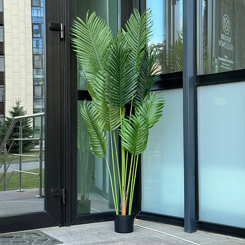 Искусственные пальмы Комнатные цветы Пальма 110 см Офисные растения ...