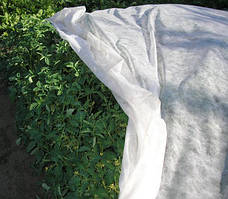 Агроволокно біле "GREENTEX", щільність: 23 г/м², 1,6 х 100 м - Польща