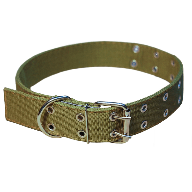 Нашийник для собак Економ брезентовий подвійний безрозмірний Ш 35 мм зелений Franty, фото 1