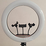 Кільцева RGB LED лампа для селфі з тримачем на 3 телефони та кріпленням під штатив Soft Ring Light -MJ-45., фото 8