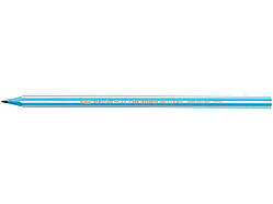 Олівець чорнографітовий Evolution 12шт bc918487 ТМ BIC