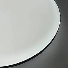 LED світильник BIOM 30W стельовий накладний 5000K (DL-R104-30) без Д/У, коло біле, фото 5