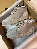Жіночі черевики UGG Neumel Suede Boots Beige 07536, фото 3
