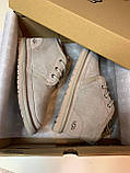 Жіночі черевики UGG Neumel Suede Boots Beige 07536, фото 4
