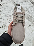 Жіночі черевики UGG Neumel Suede Boots Beige 07536, фото 5