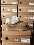 Жіночі угги UGG Coquette Platform Chestnut Brown ALL14156, фото 3