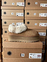 Угги жіночі UGG Coquette Platform Chestnut Brown ALL14156