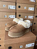 Жіночі угги UGG Coquette Platform Chestnut Brown ALL14156, фото 4