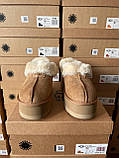 Жіночі угги UGG Coquette Platform Chestnut Brown ALL14156, фото 5