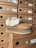 Жіночі угги UGG Coquette Platform Chestnut Brown ALL14156, фото 6