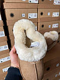 Жіночі угги UGG Coquette Platform Chestnut Brown ALL14156, фото 9
